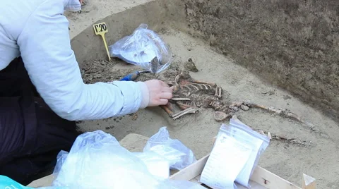 Archaeologically Sites Stock-Footage 47221748