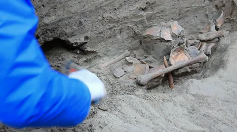 Archaeologically Sites Stock-Footage 47222223