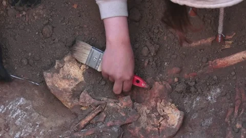 Archaeologist Brushes Human Skeleton Bones From Earth Stock Footage 158361629