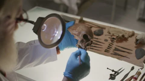 Archaeologist Cleaning Ancient Skull Under Magnifying Lamp in Laboratory Stock Footage 301594993