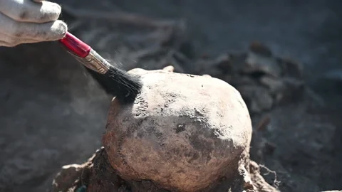 The archaeologist cleans the remains. Stock Footage 147676027