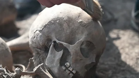 The archaeologist cleans the remains. Stock Footage 147676041