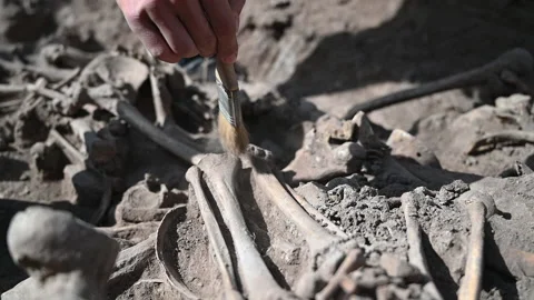 The archaeologist cleans the remains. Stock Footage 147676060