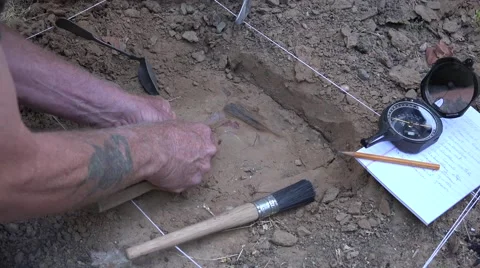 Archaeologist at a dig, early man Stock Footage 40515602