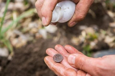 Archaeologist digger found an old ancient valuable coin and washes it. Stock Photos
