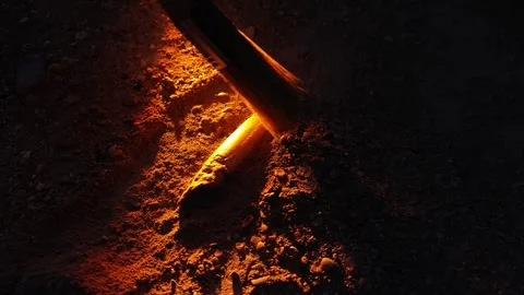 An archaeologist digs up a bone with a brush Stock Footage 293335763