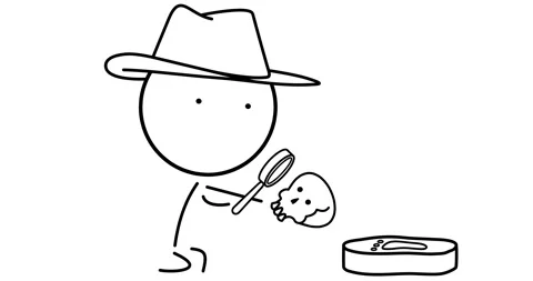Archaeologist at an excavation site Stock Footage 296268468