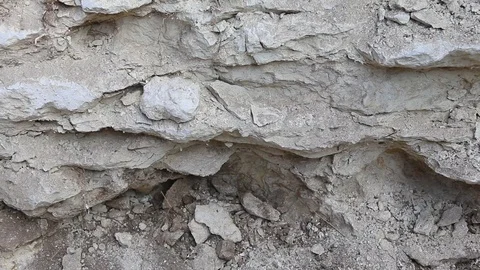 Archaeologist finding fossil remains of a shell in limestone Video stock 88224578