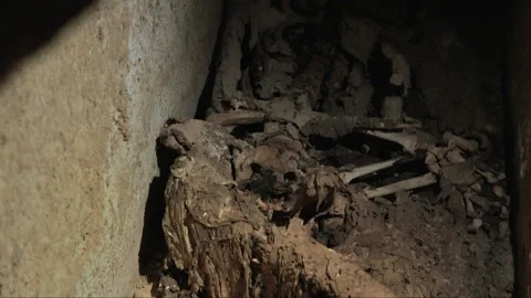 Archaeologist flashlight revealing an ancient human skeleton Stock-Footage 336753012