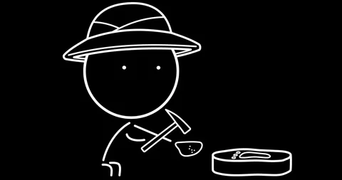 Archaeologist Stock Footage 296295262