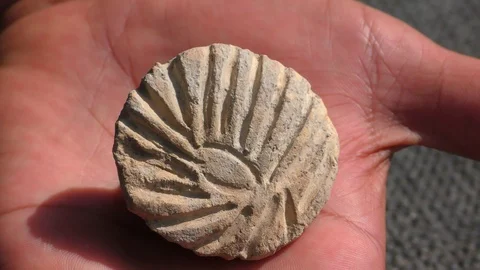 Archaeologist presenting a seal found in site Ein Esur 스톡 동영상 117306256