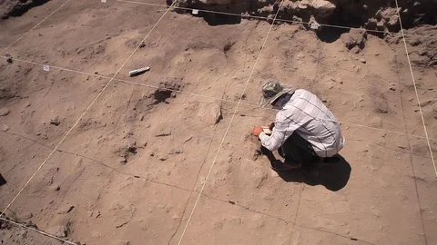 Archaeologist at work, digging site Stock Footage 74710236