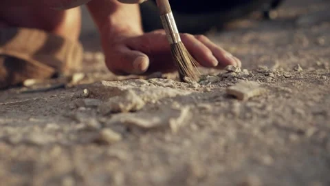Archaeologist working with a brush Stock Footage 280359041