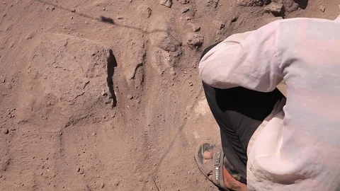 Archaeologist working Stock Footage 76986867