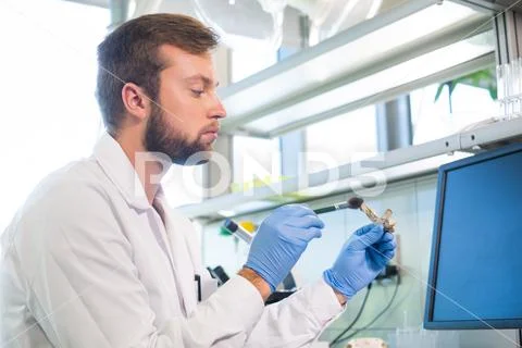 Archaeologist working in natural research lab. Laboratory assistant cleaning Stock Photos