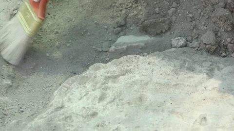 The archaeologist works with a brush 1 Stock Footage 323804467