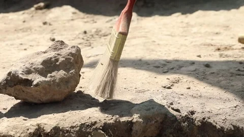 The archaeologist works with a brush 2 Stock Footage 323804867