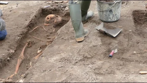 Archaeologists discover skeletons Video stock 164915334