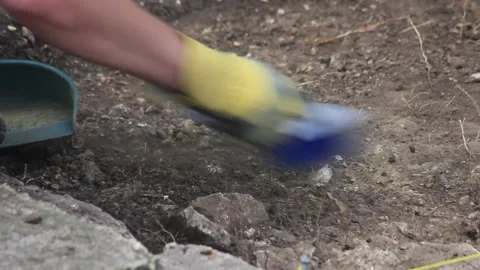 Archaeologists At Work Stock Footage 134380020