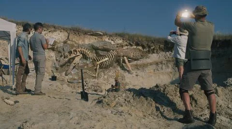 Archaeologists working on digging site Stock Photos