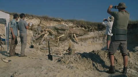 Archaeologists working on digging site Stock Photos