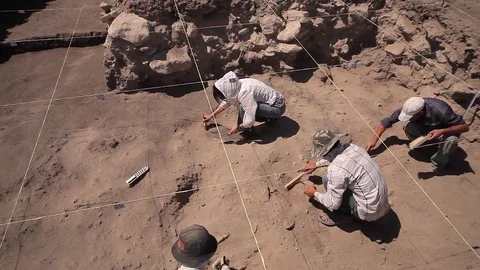 Archaeologists working Stock Footage