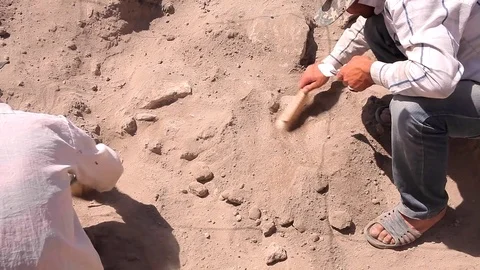 Archaeologists working Видео 76984381
