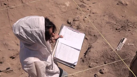 Archaeologists working Видео 76988208