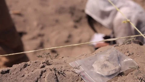 Archaeologists working Stock Footage 77189546