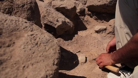 Archaeologists working Stock Footage 77192070