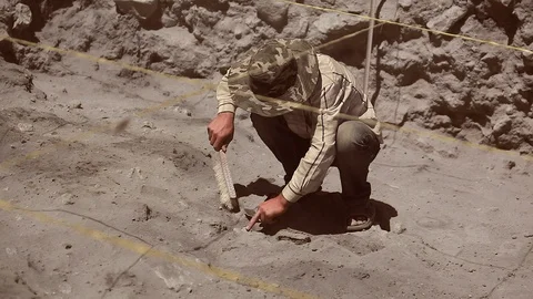 Archaeologists working 스톡 동영상 124787283