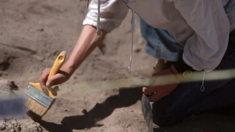Archaeologists working 스톡 동영상 124789411