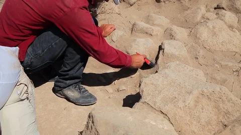 Archaeologists working Stock Footage 124911768