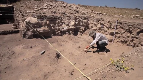 Archaeologists working, hand and tool Stock Footage 76946922
