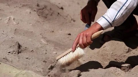 Archaeologists working, hand and tool Видео 76947923