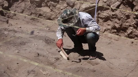 Archaeologists working, hand and tool Видео 76948707
