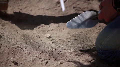 Archaeologists working, hand and tool Видео 76949291