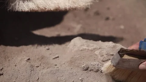 Archaeologists working, hand and tool Видео 76951139