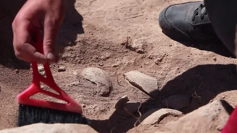 Archaeologists working, hand and tool Stock Footage 76964239