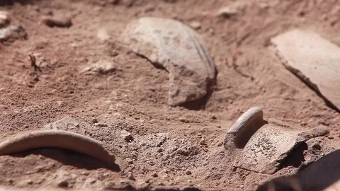 Archaeologists working, hand and tool Видео 76968057