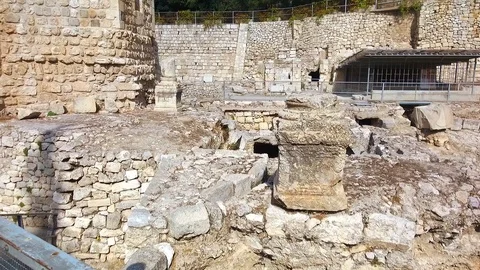 Archaeology Discovery Stock Footage 119503274