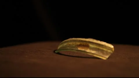 Archaeology Glass Stock Footage