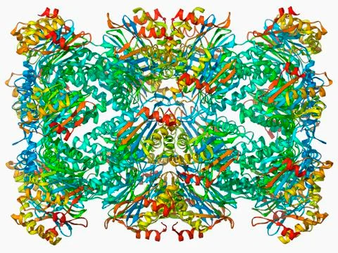 Archaeon enzyme, molecular model Stock Illustration