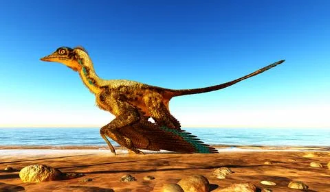 Archaeopteryx on the Beach Stock Illustration