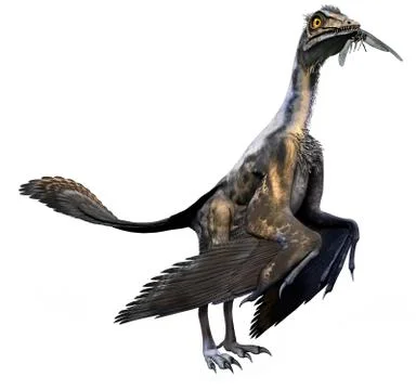 Archaeopteryx Stock-Illustration