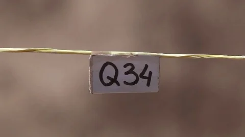 Archaological Marker on the Wire Stock Footage 76952378