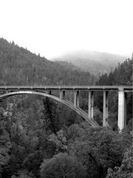 Arched Bridge Over Forest in Black and White 스톡 사진