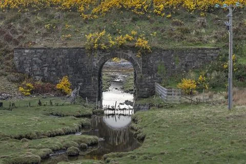 Arched bridge with a small stream and surrounded by gorse bushes Foto stock