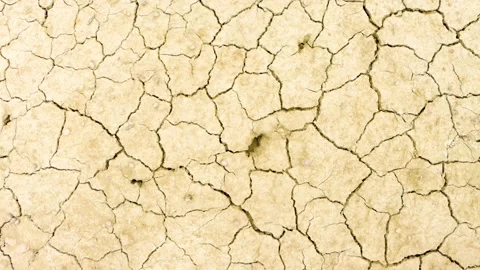 Arched, Cracked Earth Highlighting Effects of Drought, 4k video Stock Footage 296750154