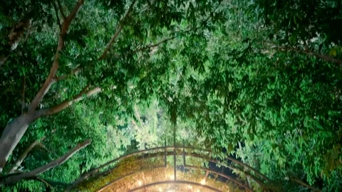 An arched gate with beautiful lighting inside the green garden at night. Video stock 221490545